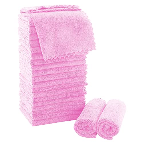 MOONQUEEN Ultra Soft Premium Washcloths Set - 12 x 12 inches - 24 Pack - Quick Drying - Highly Absorbent Coral Velvet Bathroom Wash Clothes - Use as Bath, Spa, Facial, Fingertip Towel (Frozen Berry) - color: Frozen Berry, size: 12 x 12 Inch(Pack of 24)