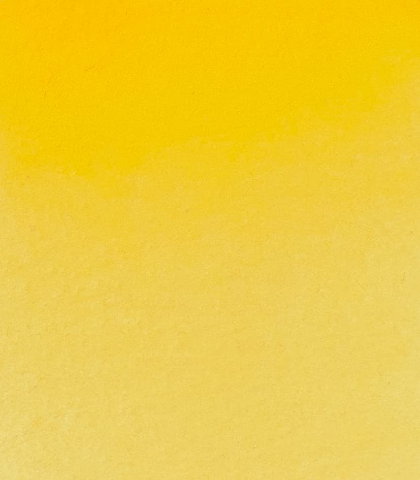 Schmincke HORADAM AQUARELL cadmium yellow dark 15 ml, 14226006 - color: 226 cadmium yellow deep, size: 0.5 Fl Oz (Pack of 1)