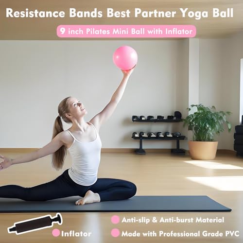 Pilates Ring Kit with Adjustable Ankle Wrist Weights, Resistance Bands, Ball, Pilates Equipment Ball for Home Workout to Tone, Sculpt and Strengthen, Fitness Magic Circle Rings for Yoga Women - color: Pink