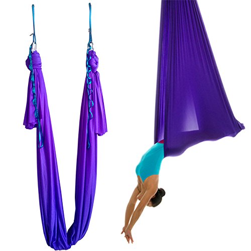 Aerial Yoga Hammock 5.5 Yards Yoga Swing Pilates Silk Home Gym Fitness Include hardware,Daisy Chain, Pose Guide - color: Depp Purple