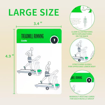 Gym Equipment Workout Cards, 62 Exercises Cards Deck Large Size 5" x 3.5" Fitness Cards for Women & Men, Beginner Fitness Guide to Training Exercises at Home or Gym - style: Equipment