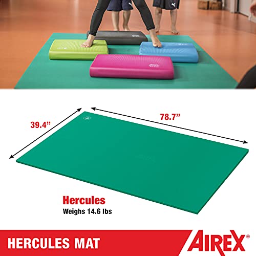 AIREX Hercules 요가, 물리 치료, 재활, 균형 및 안정성 운동, 필라테스, 에어로빅을 위한 프리미엄 운동 매트 피트니스 - color: 블루.