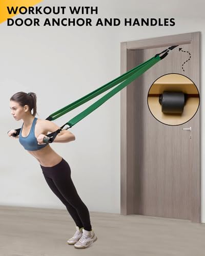 Equipro Resistance Bands, Exercise Bands, Resistance Bands for Working Out with Handles and Door Anchor, Workout Bands for Men Women with Protective Sleeve for Fitness Weights Work Out at Home