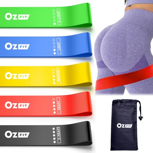 Resistance Bands Set for Men and Women, Pack of 5 Different Levels Elastic Band for Home Gym Long Exercise Workout – Great Fitness Equipment for Training, Yoga, Free Carrying Bag - color: ‎Assorted Set of 5 (5-40lbs)