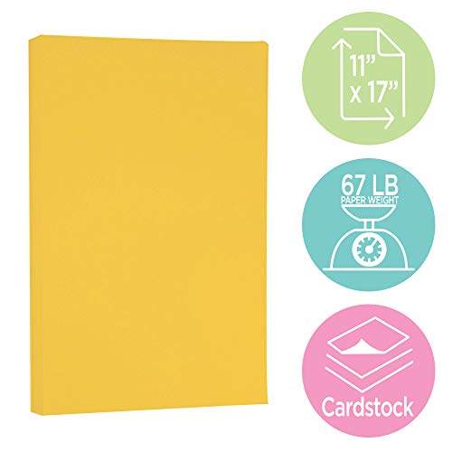 JAM PAPER Vellum Bristol 65lb Cardstock - 11 x 17 Ledger Size Coverstock - 147 gsm - Goldenrod - 50 Tabloid Sheets/Pack - color: Goldenrod, size: 11" x 17"