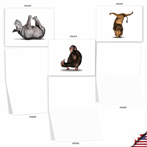 The Best Card Company - 10 Blank Yoga Note Cards (4x 5.12 Inch) - Boxed Notecards with Envelopes, Cute Animal Cards, Zen Assortment - Zoo Yoga M6547OCB - style: Zoo Yoga