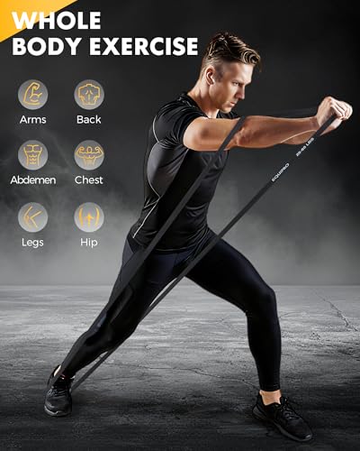 Equipro Resistance Bands, Exercise Bands, Resistance Bands for Working Out with Handles and Door Anchor, Workout Bands for Men Women with Protective Sleeve for Fitness Weights Work Out at Home