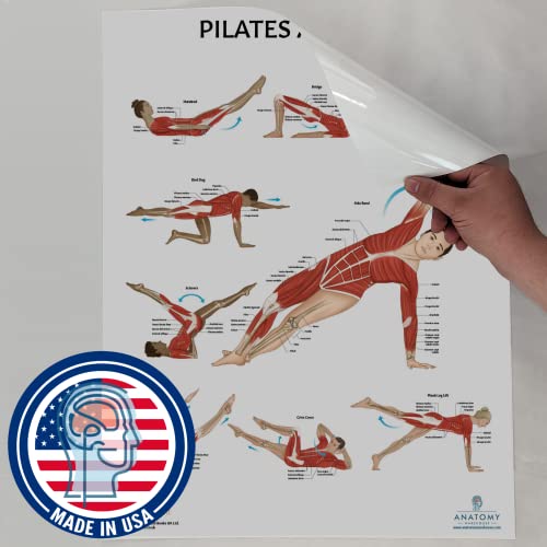 Anatomy Lab Pilates Anatomy Poster, LAMINATED, Pilates Wall Chart | 17.3 x 22.5 Inches, Anatomy and Physiology, Wall Pilates Exercise Chart, Workout Poster - color: Pilates