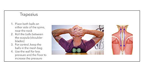 Pair of 2.5 inch (Brevis) Soft Rubber Massage Balls
