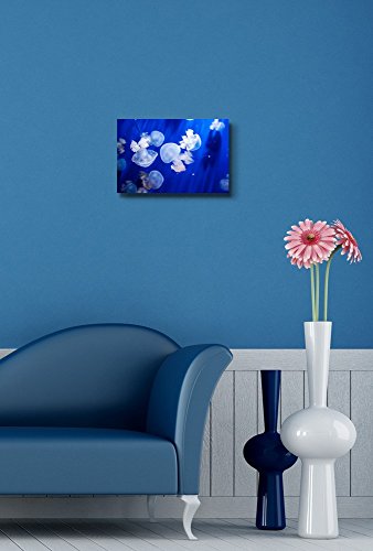 Canvas Wall Art - Jellyfish in an Aquarium with Blue Water | Modern Home Art Canvas Prints Giclee Printing Wrapped & Ready to Hang - 12" x 18" - color: Jellyfish, size: 18"L x 12"W