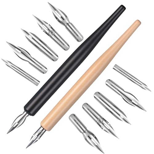 salbsever 12PCS Dip Pen Nibs, Dip Pen Set, 2 Wooden PenHolders and 10 Stainless Steel Calligraphy Nibs, Comic Calligraphy Drawing Pens for Writing, Painting, Signing, Sketch