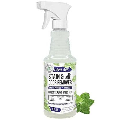 Mighty Mint Stain & Odor Remover, Natural Enzyme Spray Safely Neutralizes Odor and Stains from Dogs, Cats on Carpet, Furniture, Natural Peppermint Scent, 16oz