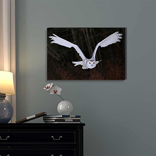 Canvas Prints Wall Art - A Flying Snowy Owl Animal/Bird Photograph | Modern Wall Decor/Home Decoration Stretched Gallery Canvas Wrap Giclee Print & Ready to Hang - 12" x 18" - color: Flying Snowy Owl, size: 18"L x 12"W