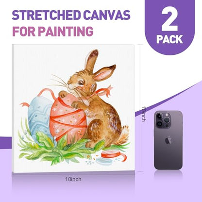 ESRICH 10x10 Stretched Canvas for Painting, 2 Pack Square Canvas for Painting Primed Acid-Free Framed Blank Canvas, Art Canvases for Beginners & Artists to Paint Oil, Acrylic, Pouring Painting. - size: 10x10in