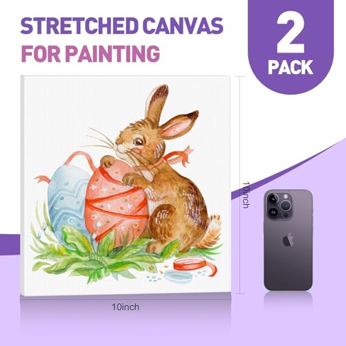 ESRICH 10x10 Stretched Canvas for Painting, 2 Pack Square Canvas for Painting Primed Acid-Free Framed Blank Canvas, Art Canvases for Beginners & Artists to Paint Oil, Acrylic, Pouring Painting. - size: 10x10in