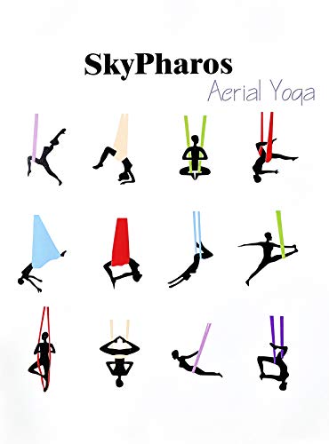 5.5 Yards Aerial Silks Yoga Swing Set - Aerial Yoga Hammock Kit Anti-Gravity Flying for Fitness, Low/Non Stretch Nylon Tricot Fabric Hardware Included for Dance - color: TURQUOISE
