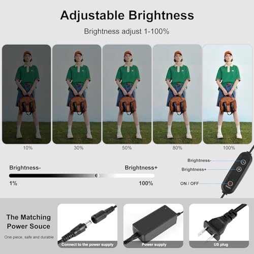 PULUZ Professional Large Photo Light Box Photography Studio, 47x31x78inch Large Lightbox Photo Video Continuous Lighting Softbox Shooting Tent Kit with 2 Colors PVC Backdrops - size: 47*31 Inch