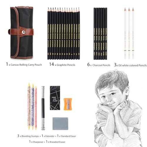 Heshengping 31 Drawing Sketching Pencils Kit, Portable Artist Supples Travel Case Set has Graphite, Charcoal, white color pencil, Blending Stump, gift for Adults Beginners for Drawing Sketch