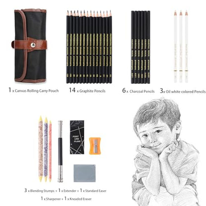 Heshengping 31 Drawing Sketching Pencils Kit, Portable Artist Supples Travel Case Set has Graphite, Charcoal, white color pencil, Blending Stump, gift for Adults Beginners for Drawing Sketch