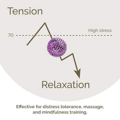 2X Spiky DBT Skill Balls | 2inch | Magnetic Stress Relief Balls | Spiky Massage Balls for Relaxation, Tension Release, Focus & Mobility (Black) (Purple, 2 inches) - color: Purple, size: 2 inches