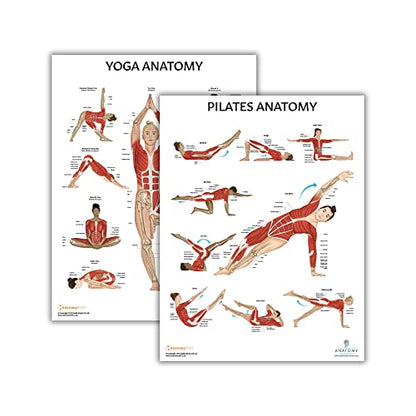 Anatomy Lab Yoga, Pilates Anatomy Poster Set, 2 PACK LAMINATED | 17.3 x 22.5 Inches, Body Chart, Premium Wall Pilates Exercise Chart and Yoga Posters for Wall - color: Yoga + Pilates