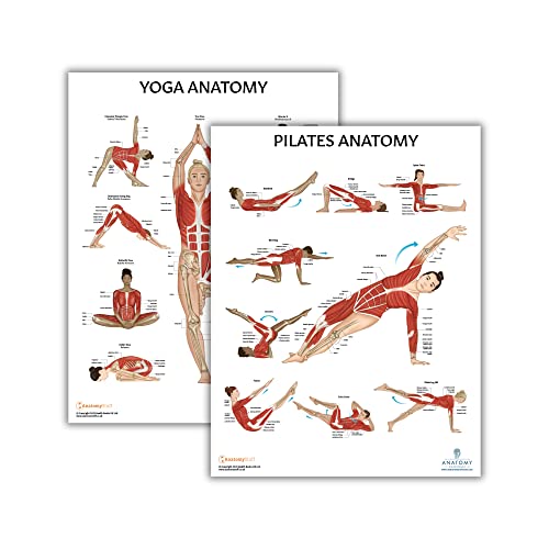 Anatomy Lab Yoga, Pilates Anatomy Poster Set, 2 PACK LAMINATED | 17.3 x 22.5 Inches, Body Chart, Premium Wall Pilates Exercise Chart and Yoga Posters for Wall - color: Yoga + Pilates