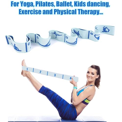 Elastic Yoga Stretching Strap with Loops, CEILIWEN Stretch Straps for Physical Therapy, Pilates Stretch Band, Elastic Exercise Bands, Leg Stretching Strap, Stretch Resistance Bands for Exercise - color: 8 Loops - Blue & Pink