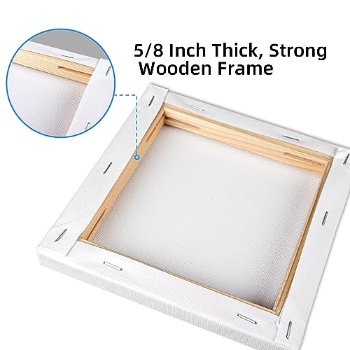 11 Pack 9x12 Stretched Canvases | 100% Cotton Black Painting Canvas, Art Canvases for Oil, Acrylic Paint & Other Painting Media - size: 9x12 (11Pack)