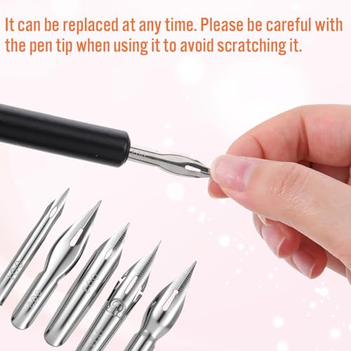 salbsever 12PCS Dip Pen Nibs, Dip Pen Set, 2 Wooden PenHolders and 10 Stainless Steel Calligraphy Nibs, Comic Calligraphy Drawing Pens for Writing, Painting, Signing, Sketch