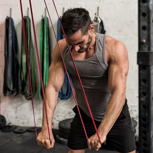 WODFitters Pro Series Pull-Up Assistance Bands – Premium Resistance Loop Bands for Assisted Pull Ups, Muscle Ups, Strength Training & Mobility – Durable Bands for Functional Fitness - color: #1 Red 10-35 lbs