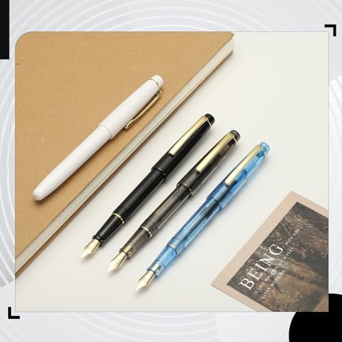 PATIKIL Fountain Pen Medium Nib, Fountain Pen Barrel Handcrafted Pen for Professional Office Journaling Gifts, Black - color: Black