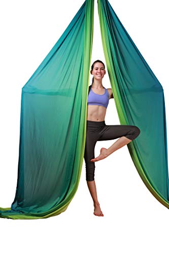 Durable Aerial Silks Starter Kit with 11-Yard Yoga Hammock & Hardware | Aerial Swing for Acrobatic Flying Yoga & All Levels, Aerial Rigging Point up to 14ft, Durable, Safe - color: Multicolor-B