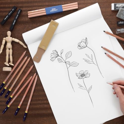 PRO ART Charcoal Pencil Set 3 Degree/White 4pc Carded, Sketching & Drawing Pencils for Artists, Includes Graphite & Charcoal Pencils, Art Pencil Set for Shading & Outlining - style: Charcoal Pencils (Soft, Med., Hard, White) 4 Piece Set