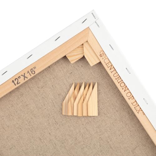 Centurion Deluxe Professional Oil Primed Linen Stretched Canvas, 11oz Linen, 18x24 - Box of 6, 0.67" Deep Canvases, Kiln-Dried Stretchers, Back Stapled, Premium Medium Weight Canvas for Oil Paintings - size: 18"x24"