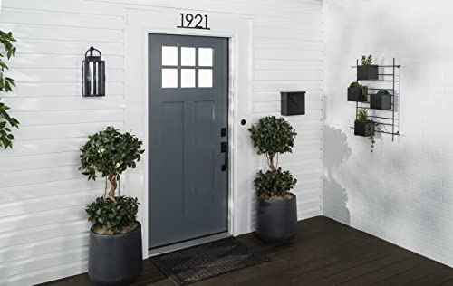 Rust-Oleum 369387 Advanced Dry Door & Trim Paint, Quart, Satin Alpine Gray - color: Satin Alpine Gray