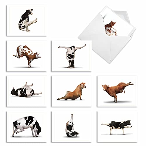 The Best Card Company - 10 Blank Yoga Note Cards (4x 5.12 Inch) - Boxed Notecards with Envelopes, Cute Animal Cards, Zen Assortment - Bovine Nirvana M6545OCB - style: Bovine Nirvana