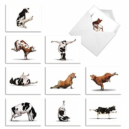 The Best Card Company - 10 Blank Yoga Note Cards (4x 5.12 Inch) - Boxed Notecards with Envelopes, Cute Animal Cards, Zen Assortment - Bovine Nirvana M6545OCB - style: Bovine Nirvana