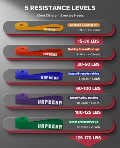 HAPBEAR Pull Up Assistance Bands - Pull Up Bands - Resistance Bands - Exercise Bands Resistance Bands Set of 5 - Workout Bands for Working Out, Stretching, Muscle Training - color: Multicolor