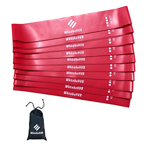 Resistance Loop Exercise Bands-5/10 Pack-10/12 Inch Stretch Bands for Working Out with Carry Bag-Elastic Bands for Physical Therapy, Rehab, Yoga, Pilates and Strength Training at Home or Gym - color: Red 10 Pack (Heavy), size: 10×2 Inch