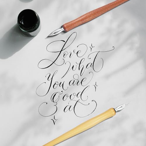 Dip Pen Set, calligraphy set,drawing pen Includes 2 Wooden Pen Holders and 12 Stainless Steel Nibs for Writing, Painting, Sketch, Signing