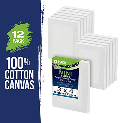 U.S. Art Supply 3x4 Mini Canvases for Painting, 12 Pack Bulk | Small Stretched Artist Canvas Professional Primed - Ideal for Arts & Crafts - size: 3" x 4" - Pack of 12