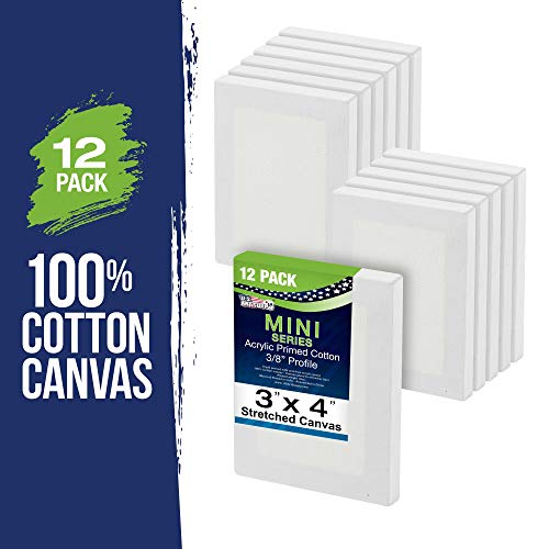 U.S. Art Supply 3"x4" Mini Square Canvases for Painting, Pack of 12 | Mini Primed Artist Stretched Canvas, Ideal for Arts & Crafts, Weddings, Birthdays - size: 3" x 4" - Pack of 12