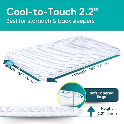 BLISSBURY Cooling Stomach Sleeper Pillow, Thin Memory Foam, 2.2 Inch - color: Cooling (White), size: 2.2"H (Queen)