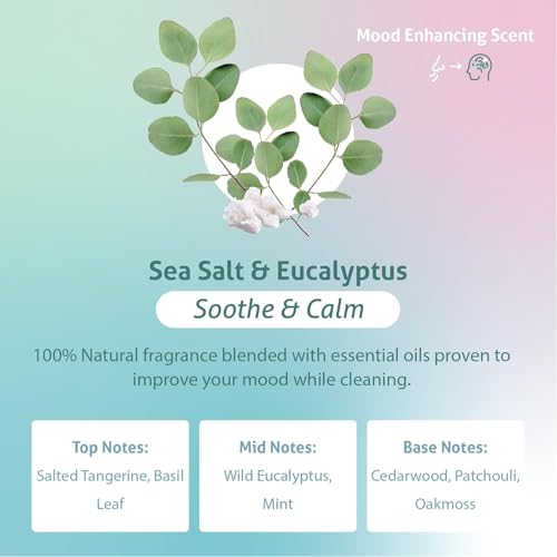 Therapy Clean All Purpose Cleaning Spray - Sea Salt & Eucalyptus 24 fl. oz (Pack of 3) - 100% Natural Scent, Kitchen Surface Counter, Surface Cleaner, Non Toxic All Purpose Cleaner Spray - size: 24 Fl Oz (Pack of 3)