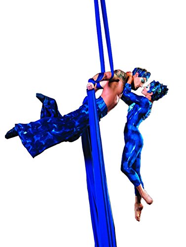 Durable Aerial Silks Starter Kit with 11-Yard Yoga Hammock & Hardware | Aerial Swing for Acrobatic Flying Yoga & All Levels, Aerial Rigging Point up to 14ft, Durable, Safe - color: Royal Blue