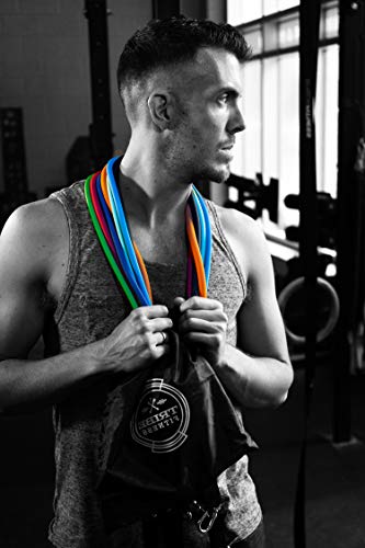 TRIBE Resistance Bands Accessories Equipment System for Home Gym, Exercise, Workout, Tube Bands & Cable Machines. Premium Ankle Straps, Door Anchor & Cushioned Handles. Heavy Duty Handle & Attachments
