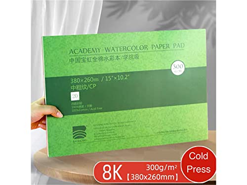 BAOHONG Academy Grade Watercolor Block, 100% Cotton, Acid-Free, 140LB/300GSM, Cold Press Textured, 20 Sheets per Block (Cold Press 15"x10.2") - size: Cold Press 15" x 10.2"