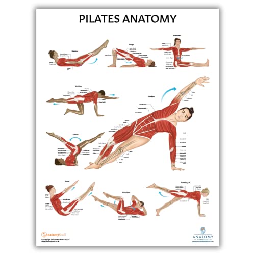 Anatomy Lab Yoga, Pilates Anatomy Poster Set, 2 PACK LAMINATED | 17.3 x 22.5 Inches, Body Chart, Premium Wall Pilates Exercise Chart and Yoga Posters for Wall - color: Yoga + Pilates