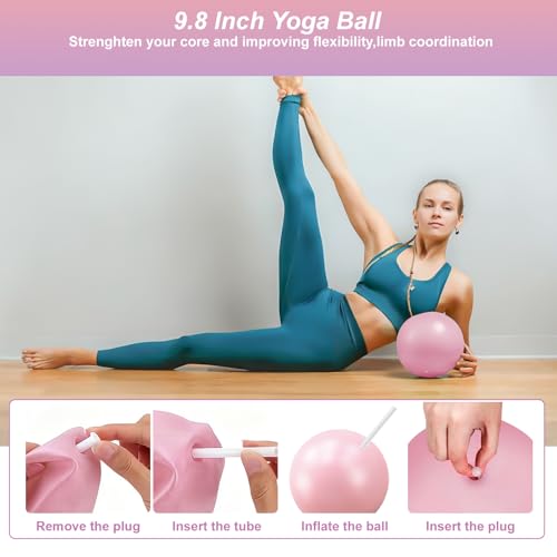 Luscinia Pilates Kit,Home Pilates Ring Kit for Women,Pilates Equipment Ring and Ball Set with Pilates Ring, Pilates Ball, Resistance Bands, Figure 8 Band & Accessories Pilates Starter Kit - color: Pink