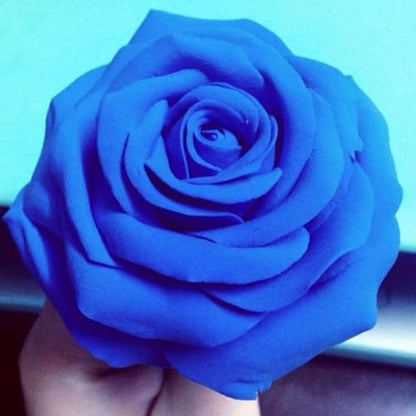BOHS Foam Clay, Blue Air Dry Modeling Clay, 1.1 lb | Soft, lightweight; crack-free finish; EVA and polystyrene foam details; cosplay props, figurines, fake bakes and slime making - color: Blue, size: 500 g